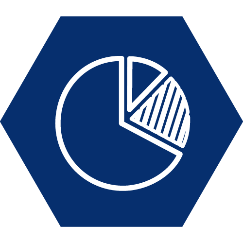 Pie chart icon